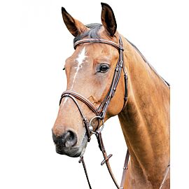Prestige Thin Leather Fancy Raised And Padded Bridle With Leather Inserts
