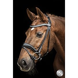 LJ Bridle Pro Selected Sarra | Round Stitched