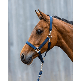 Lamicell Grooming Halster