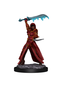 Icons of the Realms Human Rogue
