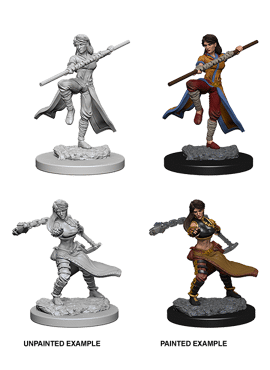 Nolzur's Miniatures: Female Human Monk