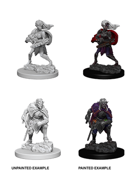 Nolzur's Miniatures: Drow