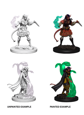 Nolzur's Miniatures: Female Tiefling Sorcerer