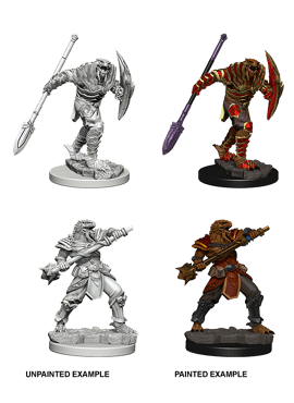 Nolzur's Miniatures: Dragonborn Male Fighter