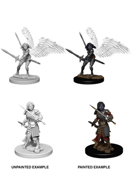 Nolzur's Miniatures: Aasimar Female Paladin