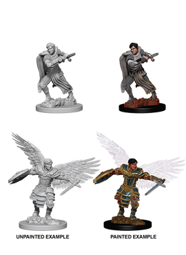 Nolzur's Miniatures: Aasimar Male Fighter