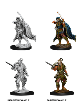 Nolzur's Miniatures: Male Elf Rogue