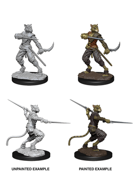 Nolzur's Miniatures: Male Tabaxi Rogue