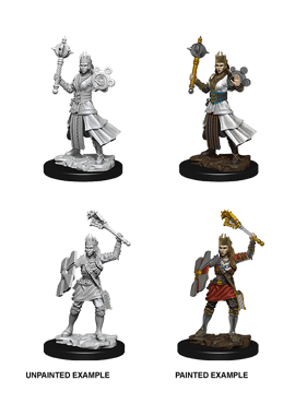 Nolzur's Miniatures: Female Human Cleric