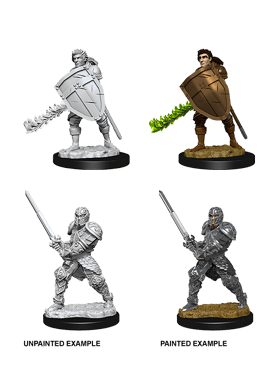 Nolzur's Miniatures: Male Human Fighter