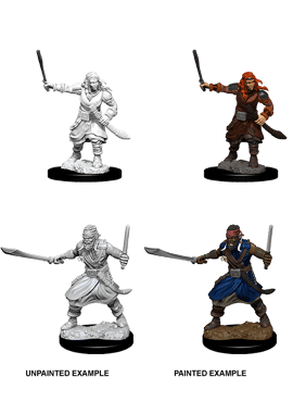 Nolzur's Miniatures: Bandits