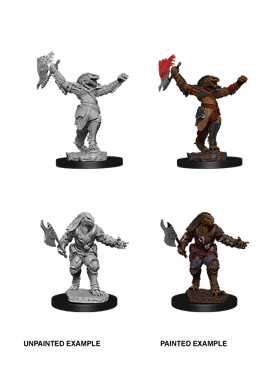 Nolzur's Miniatures: Dragonborn Fighter