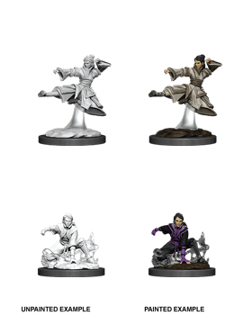Nolzur's Miniatures: Female Human Monk