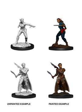 Nolzur's Miniatures: Female Shifter Rogue