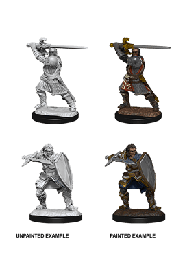 Nolzur's Miniatures: Male Human Paladin