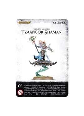 Tzeentch Arcanites: Tzaangor Shaman