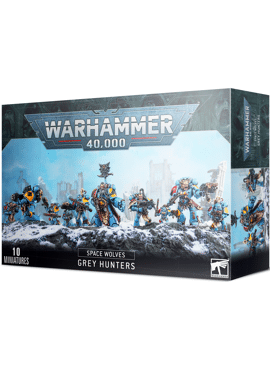 Space Wolves Grey hunters