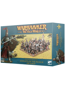 The Old World Knights of the Realm on Foot