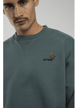 BSW369-L008  SWEATERS ANTWRP