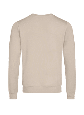 503090 Abel Crew Neck Sweat MOS MOSH
