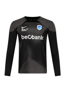 Goalkeeper jersey (adult)