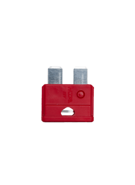 Steekzekering 10A (100 stuks) 