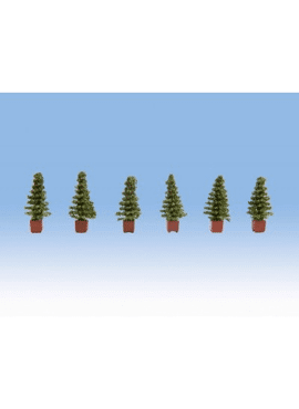 NOCH 14021 / Thuja