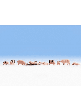 NOCH 15712 / Schweine
