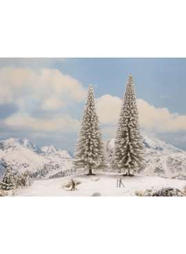 NOCH21965 / besneeuwde dennen