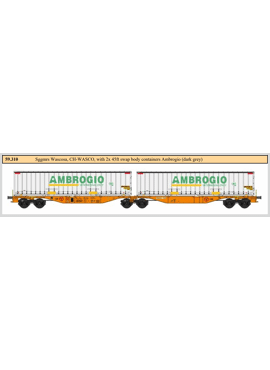 B-models 59310 / Containerwagen 