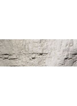 WOODLAND C1217 / Earth Colors Concrete