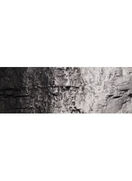 WOODLAND C1220 / Black