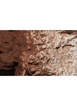 WOODLAND C1222 / Burnt Umber