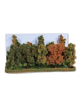HEKI 2000 / Herfstbomen, 10 Bomen 10-13 cm