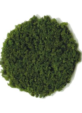 HEKI 3387 / Loofvlokken donkergroen