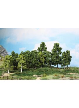 HEKI 1991 / 15 Loofbomen 10-18 cm