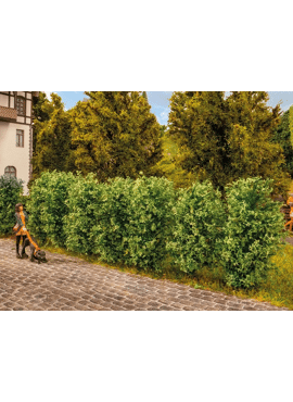 NOCH 21547 / Thuja haag  12 stuks