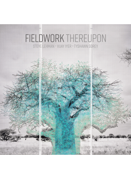 Fieldwork Thereupon 