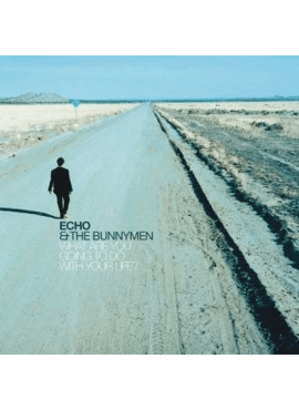 Echo And The Bunnymen - What Are You Going 