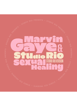 Marvin Gaye & Studio Rio