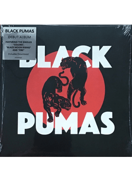 Black Pumas 