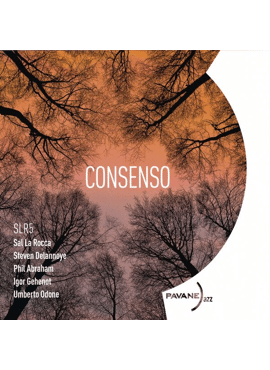 Consenso 