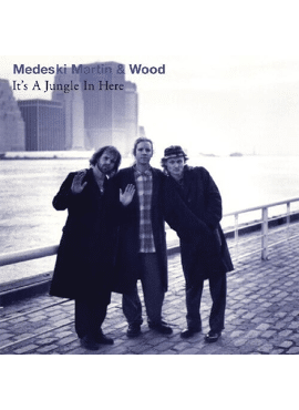 Martin Medeski & Wood 