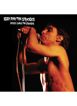 Iggy Pop The Stooges