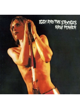 IGGY & THE STOOGES 