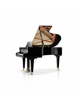 Schimmel C189 zwart hoogglans