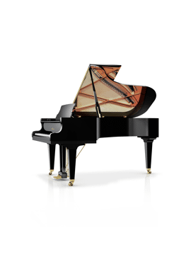 Schimmel C213 zwart hoogglans