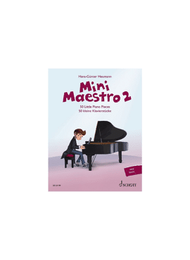 Mini Maestro 2