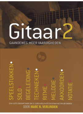 Gitaar 2