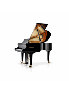 Schimmel K175 zwart hoogglans